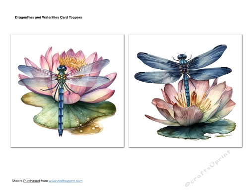 Dragonflies and Waterlilies Card Toppers