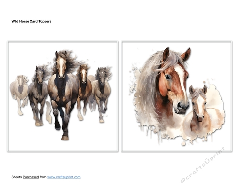 Wild Horse Card Toppers