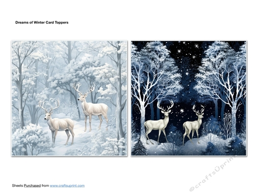 Dreams of Winter Card Toppers
