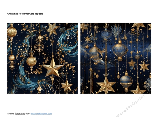 Christmas Nocturnal Card Toppers