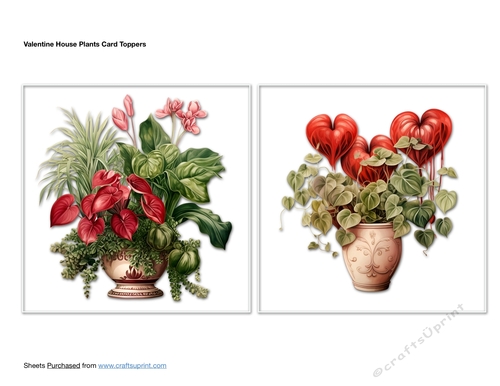 Valentine House Plants Card Toppers