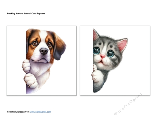 Peeking Around Animal Card Toppers