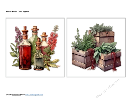 Winter Herbs Card Toppers