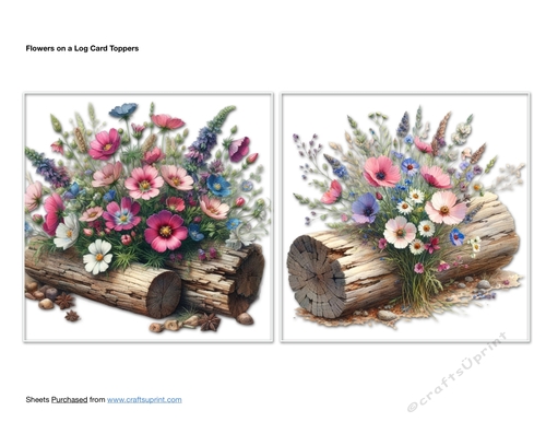 Flowers on a Log Card Toppers