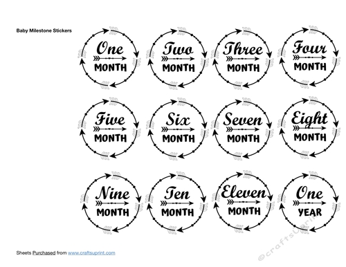 Baby Milestone Stickers