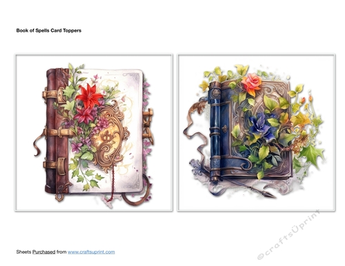Book of Spells Card Toppers