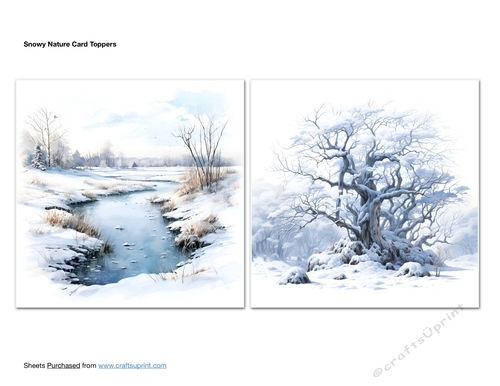 Snowy Nature Card Toppers
