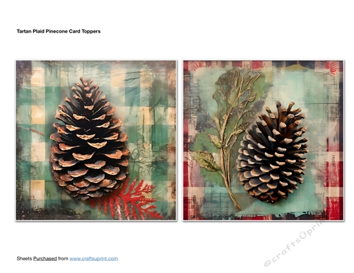 Tartan Plaid Pinecone Card Toppers