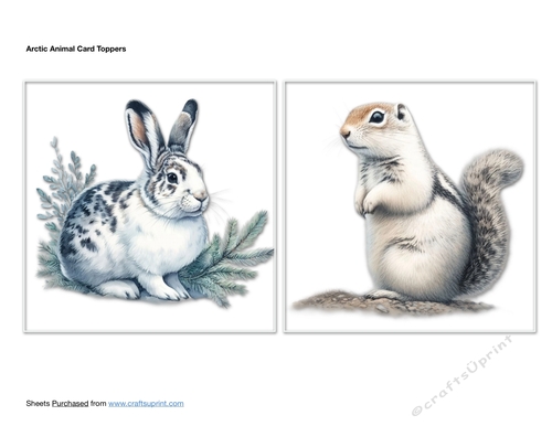 Arctic Animal Card Toppers