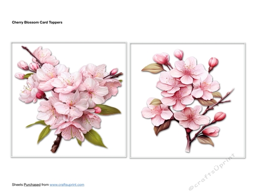 Cherry Blossom Card Toppers