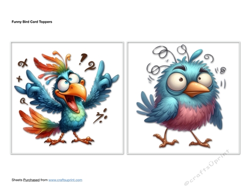 Funny Bird Card Toppers