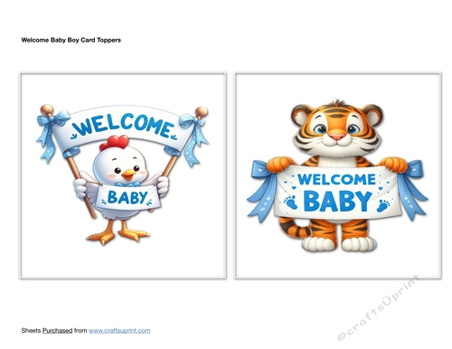 Welcome Baby Boy Card Toppers