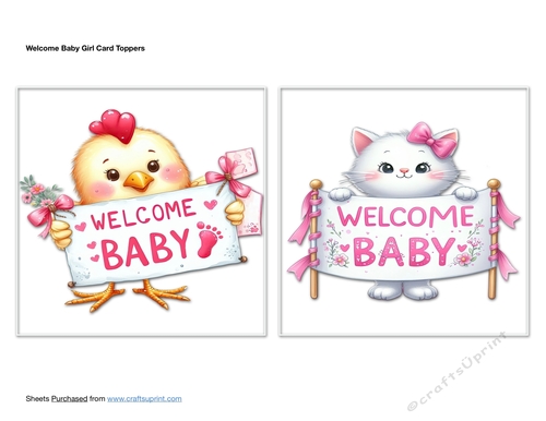 Welcome Baby Girl Card Toppers