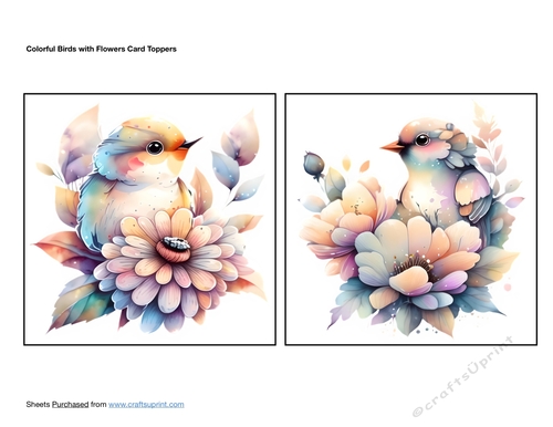 Colorful Birds with Flowers Card Toppers