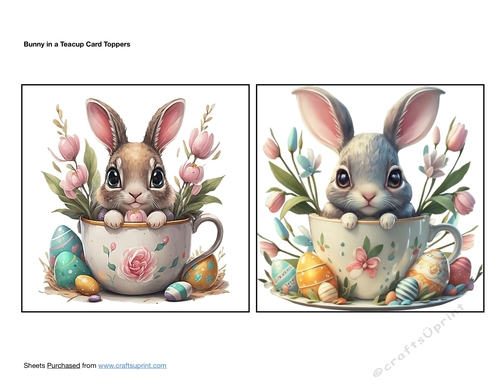 Bunny in a Teacup Card Toppers