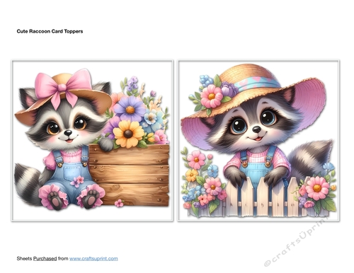 Cute Raccoon Card Toppers