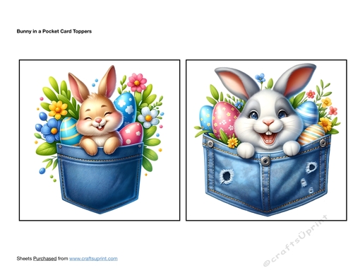 Bunny in a Pocket Card Toppers
