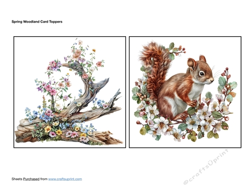 Spring Woodland Card Toppers