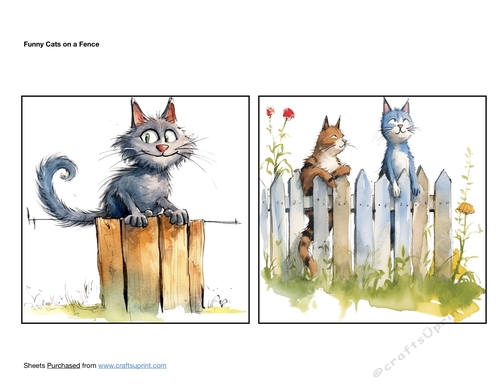 Funny Cats on a Fence
