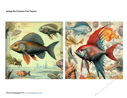 Vintage Sea Creatures Card Toppers