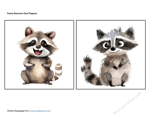 Funny Raccoon Card Toppers