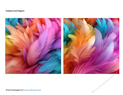 Feathery Card Toppers