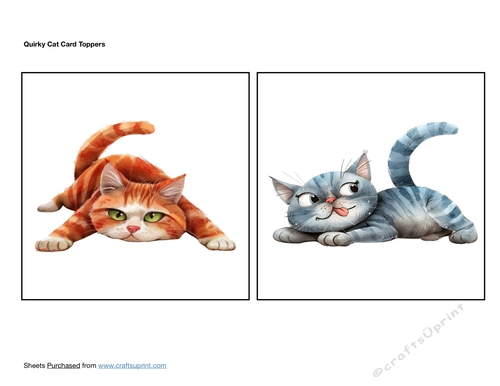 Quirky Cat Card Toppers