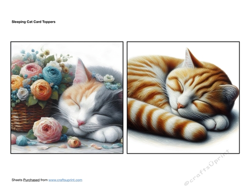 Sleeping Cat Card Toppers