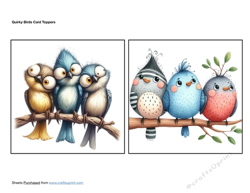 Quirky Birds Card Toppers