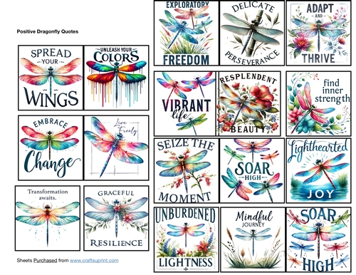 Positive Dragonfly Quotes