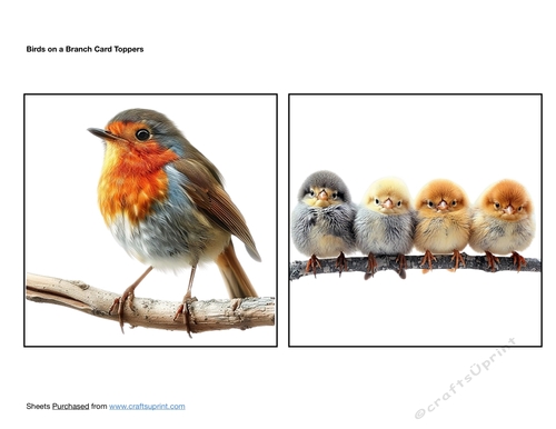 Birds on a Branch Card Toppers