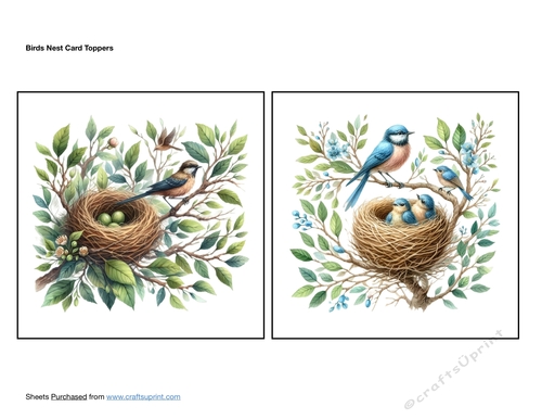Birds Nest Card Toppers