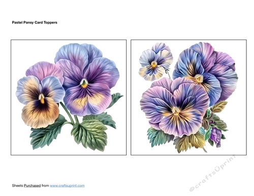 Pastel Pansy Card Toppers