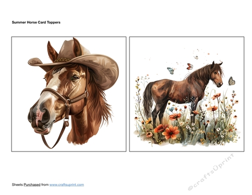 Summer Horse Card Toppers