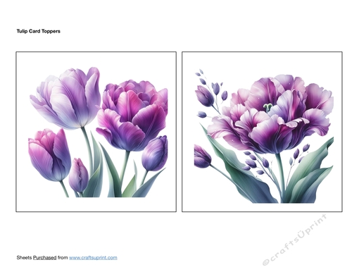 Tulip Card Toppers