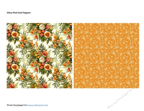 Citrus Peel Card Toppers