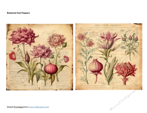 Botanical Card Toppers