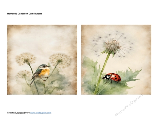 Romantic Dandelion Card Toppers