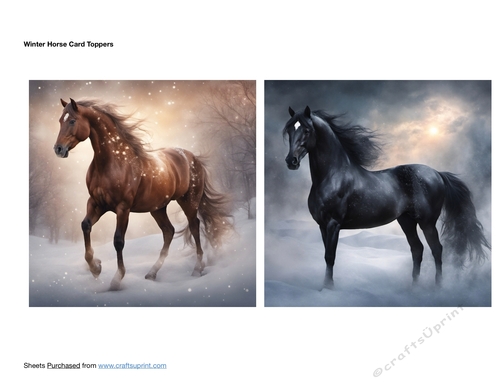 Winter Horse Card Toppers