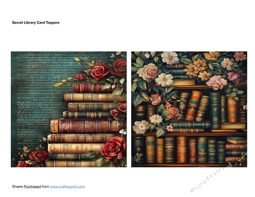 Secret Library Card Toppers