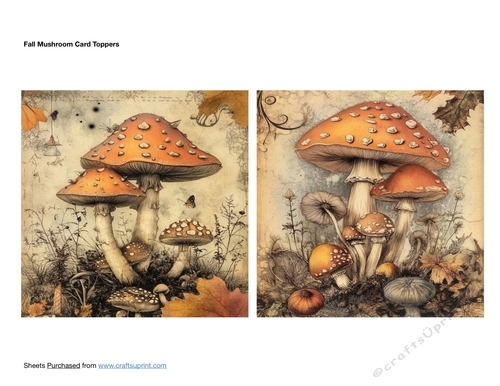 Fall Mushroom Card Toppers