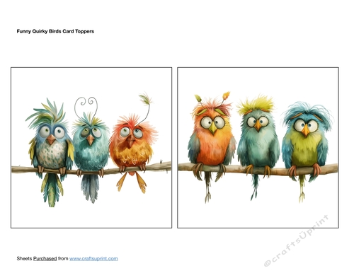 Funny Quirky Birds Card Toppers
