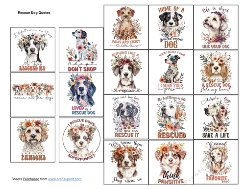 Rescue Dog Quotes