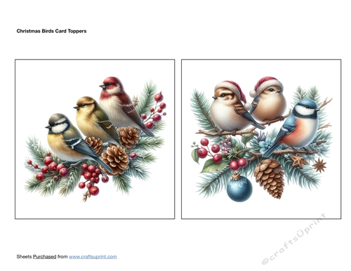 Christmas Birds Card Toppers