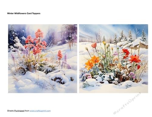 Winter Wildflowers Card Toppers