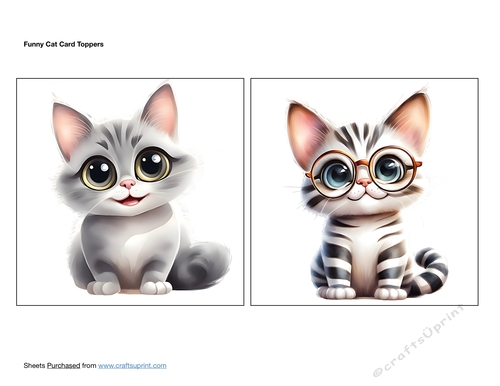 Funny Cat Card Toppers