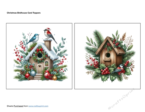 Christmas Birdhouse Card Toppers