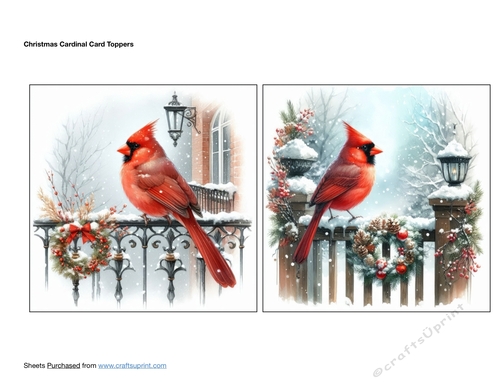 Christmas Cardinal Card Toppers