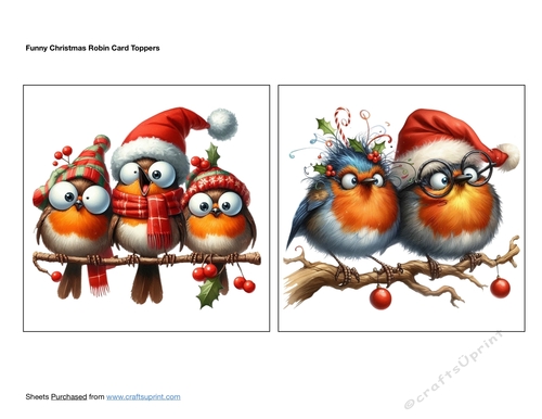 Funny Christmas Robin Card Toppers