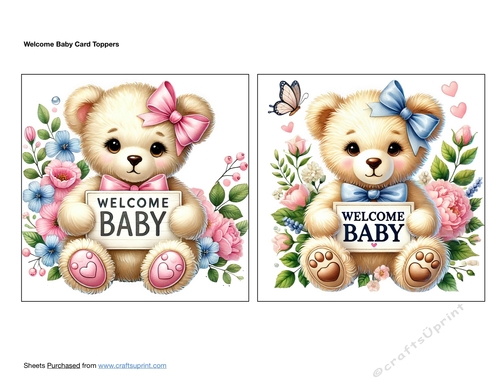 Welcome Baby Card Toppers